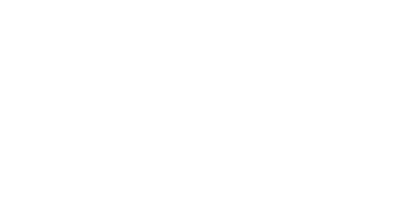 pulpoar